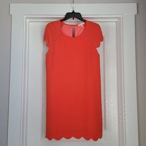 Monteau Los Angeles Scalloped shift dress.